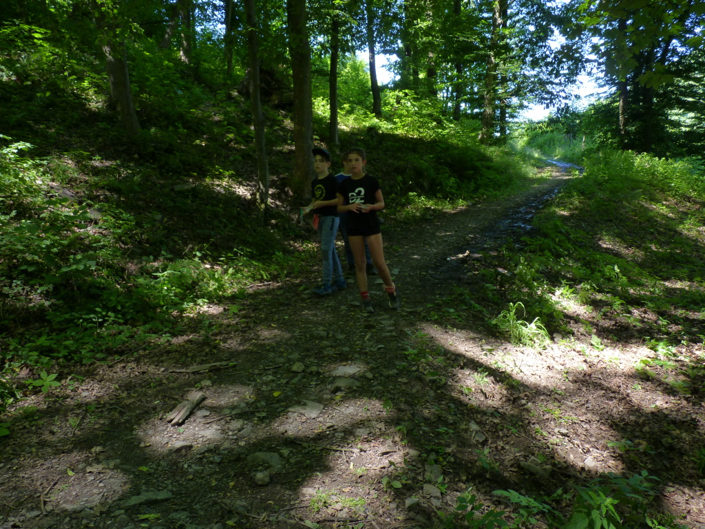 Spálovská mafie