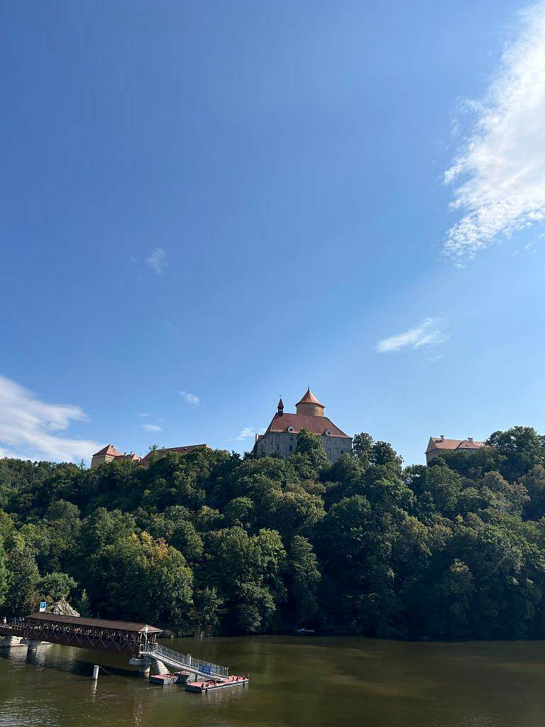 Kniha džunglí