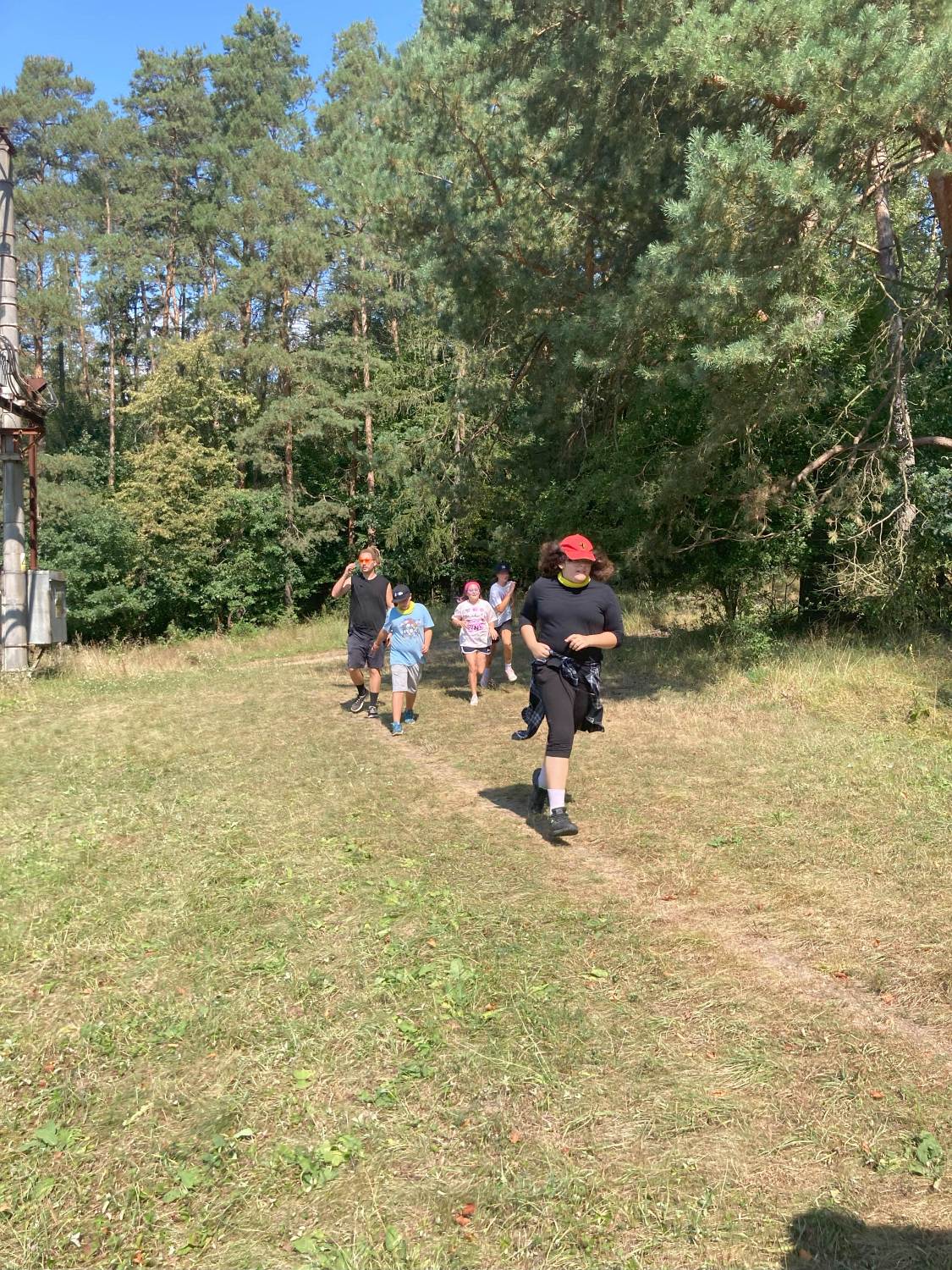 Kniha džunglí
